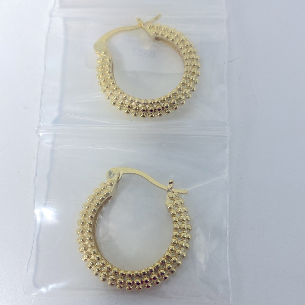 Rachel Glauber 14K Plated Hoops Earrings NWT